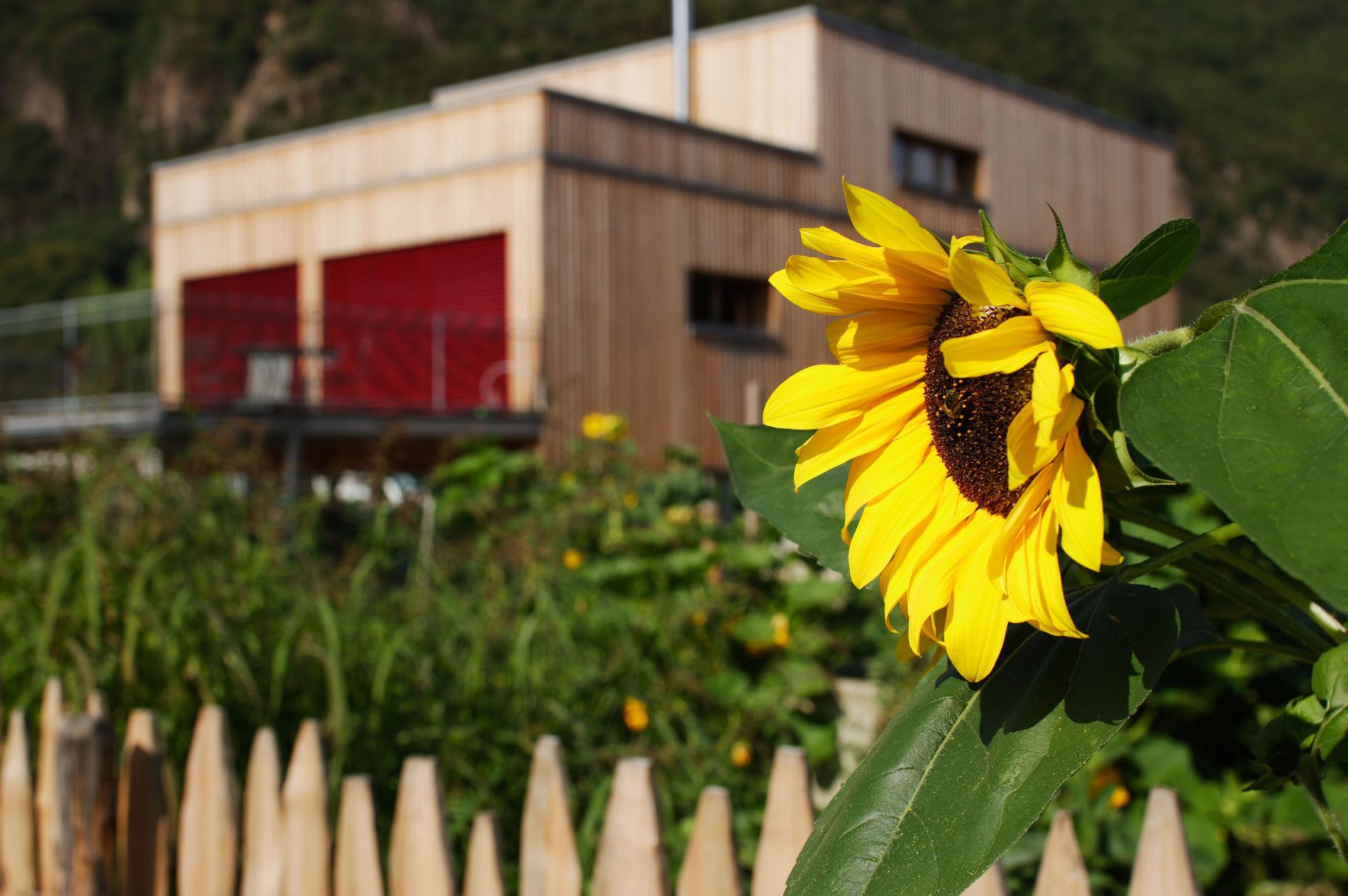 Vortrag in Klagenfurt - Thoma Holz100