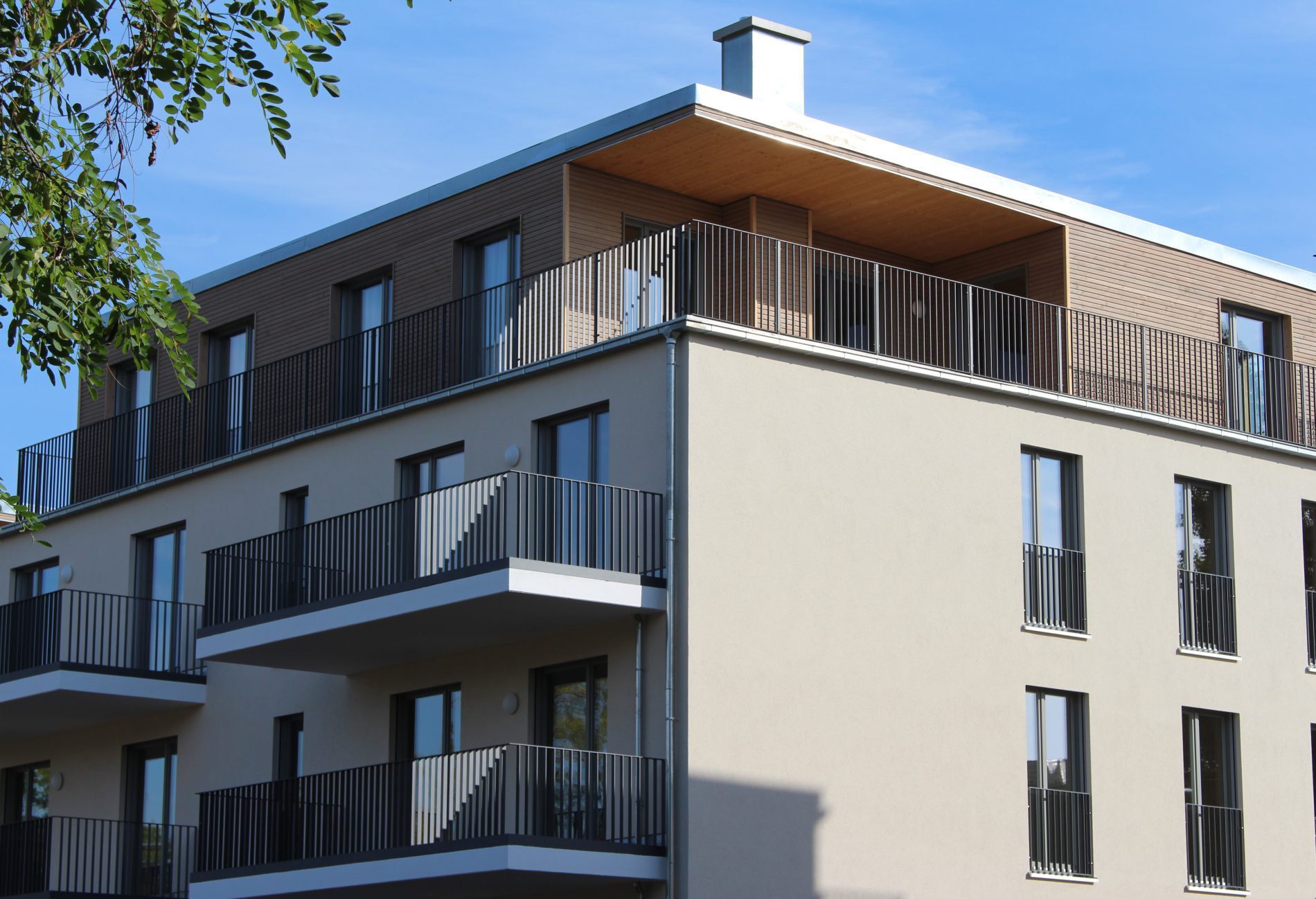 Abgesagt: Vortrag in Berlin - Thoma Holz100