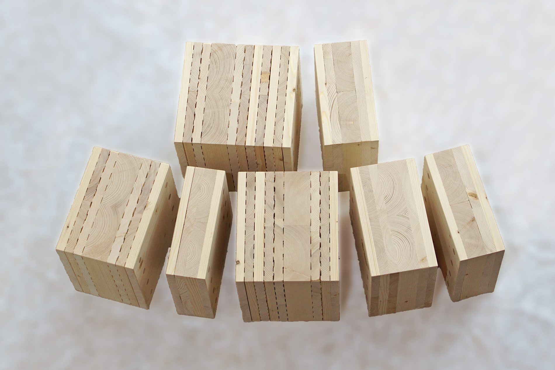 Vortrag in Schlägl - Thoma Holz100