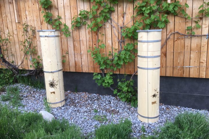 Bienenfreunde aufgepasst - Thoma Holz100