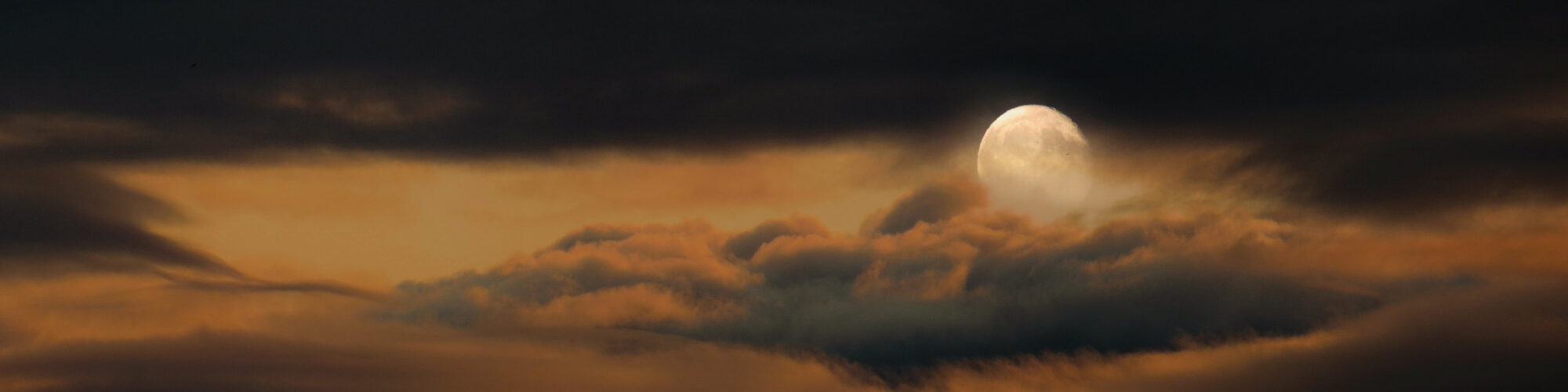 Mondholz - Holz vom richtigen Zeitpunkt - Thoma Holz100