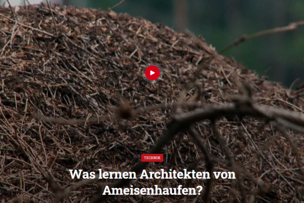 Video über das Filmarchiv - Thoma Holz100