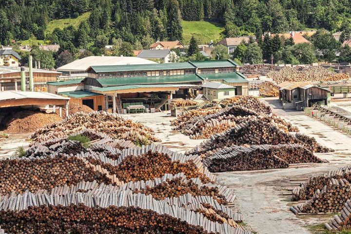 Was sagt Thoma zu den schwankenden Holzpreisen? - Thoma Holz100