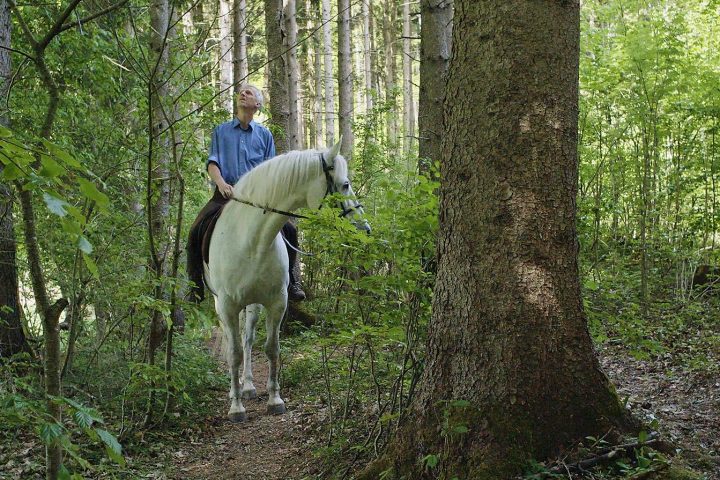 Mit der Natur bauen & vital wohnen mit Thoma Holz100 - Thoma Holz100