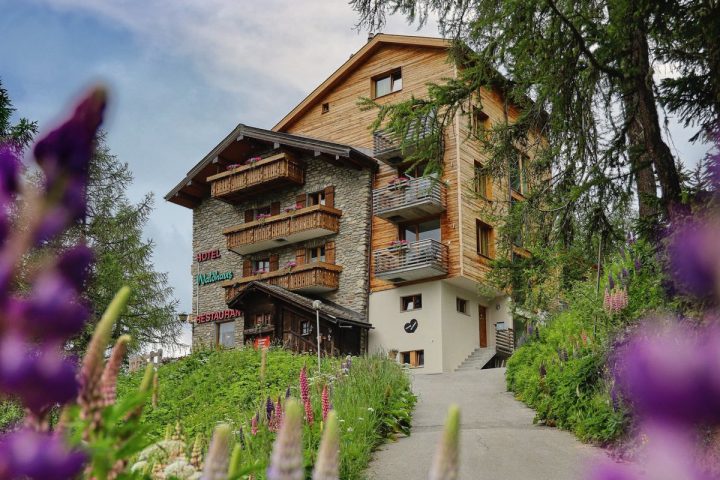 Nature is trendy! - Thoma Wood100