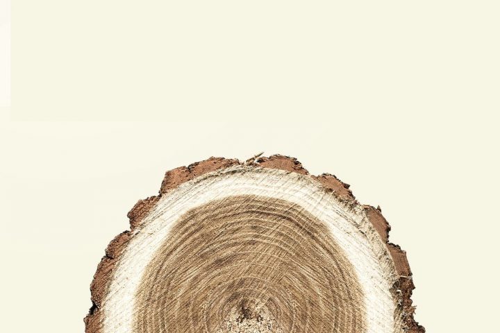 Wooden tools - Thoma Wood100