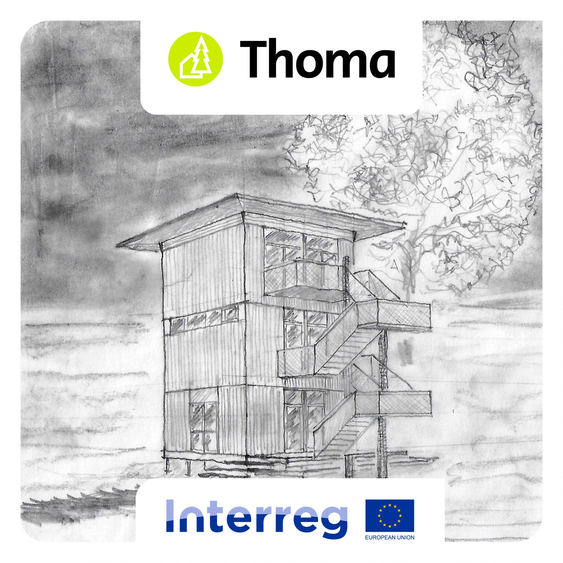 Ideas don't fall from trees - Thoma Wood100