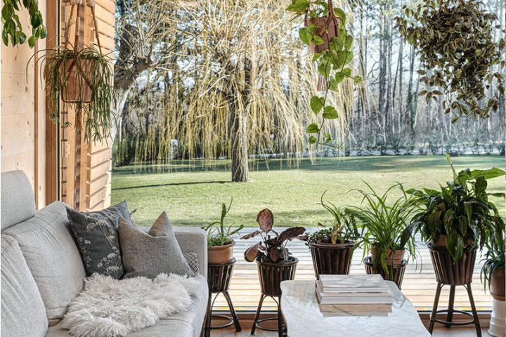 These newcomers are really taking off - Thoma Wood100