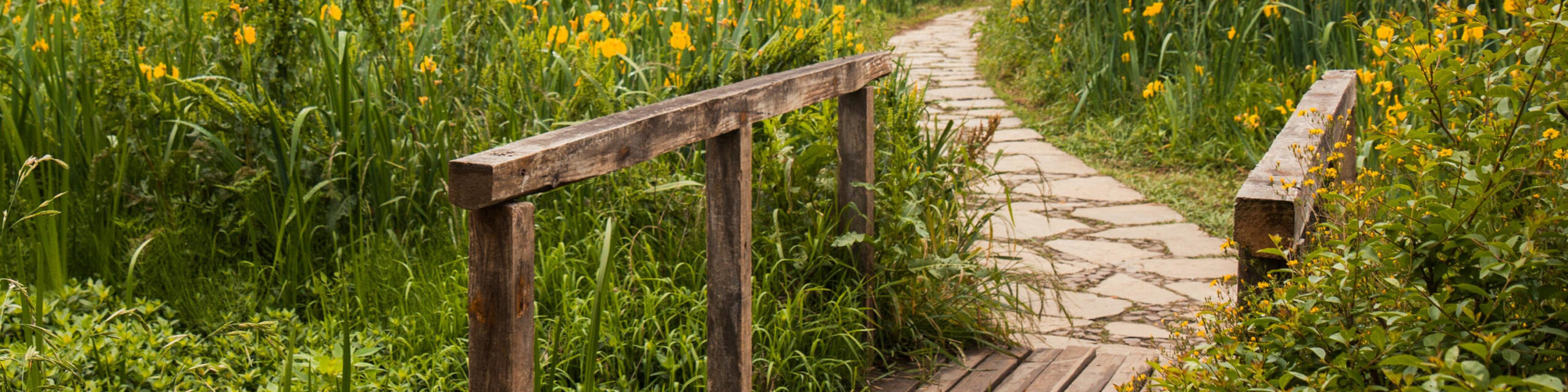 Der Weg zum Thoma Haus - Wie komme ich am besten zu meinem Thoma Haus? - Thoma Holz100
