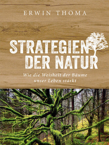 Buchcover Strategien der Natur - Wie die Weisheit der Bäume unser Leben stärkt von Erwin Thoma -  - Thoma Holz100