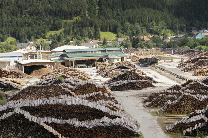 Einladung Exkursion – Vom Stamm zum Thoma-Haus - Thoma Holz100