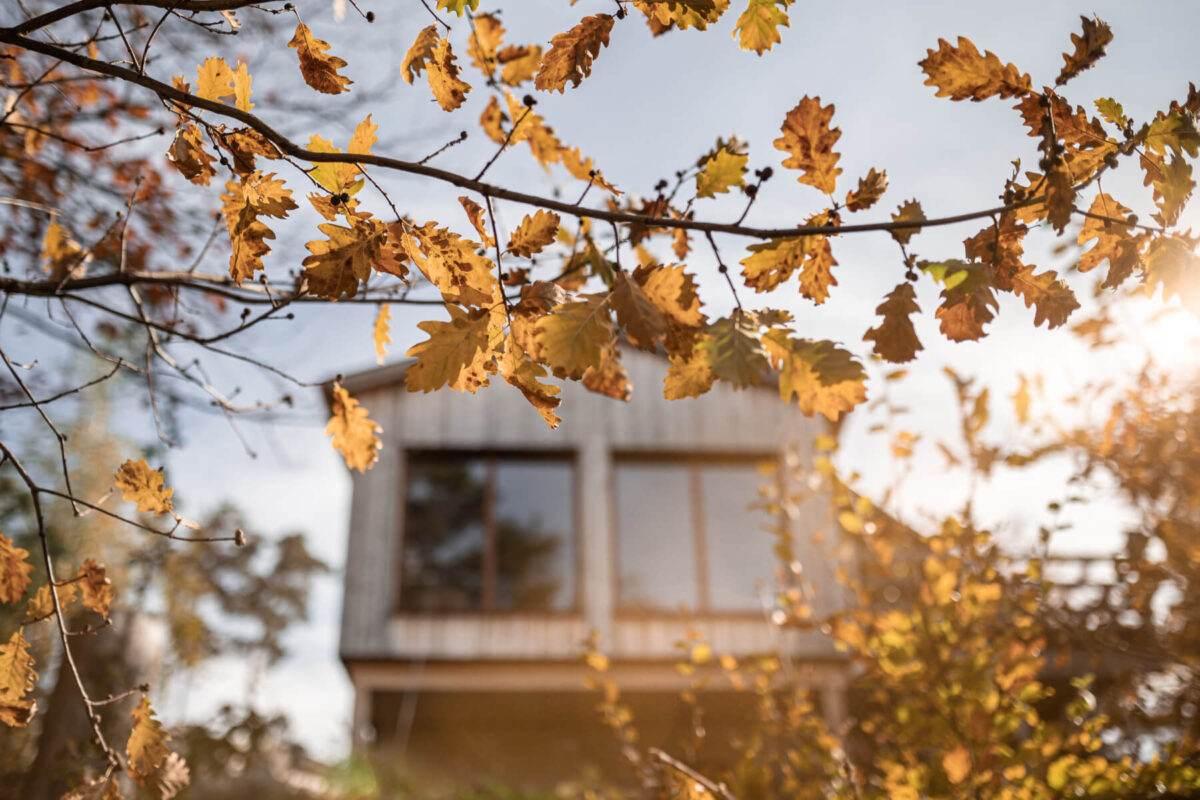 Massivholzhaus im Lärchenkleid - Thoma Holz100 