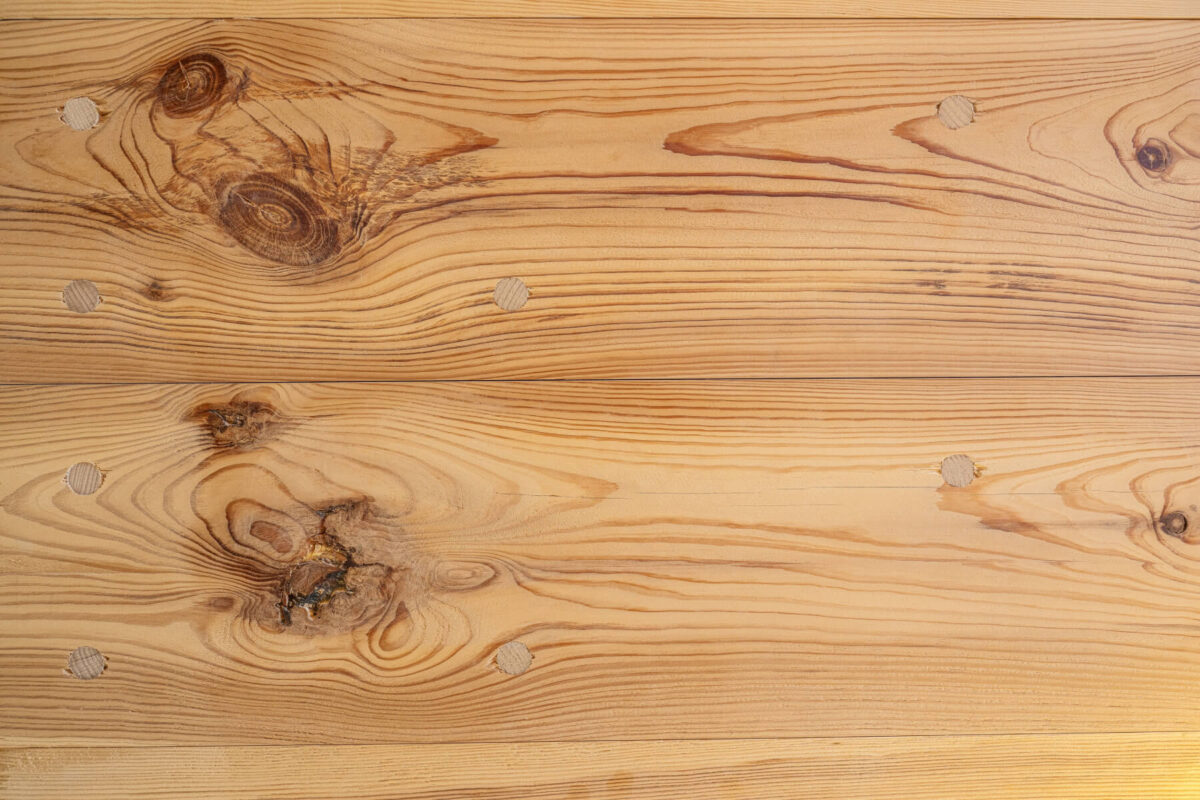 Einfamilienhaus aus Mondholz im Schneebergland - Thoma Holz100 