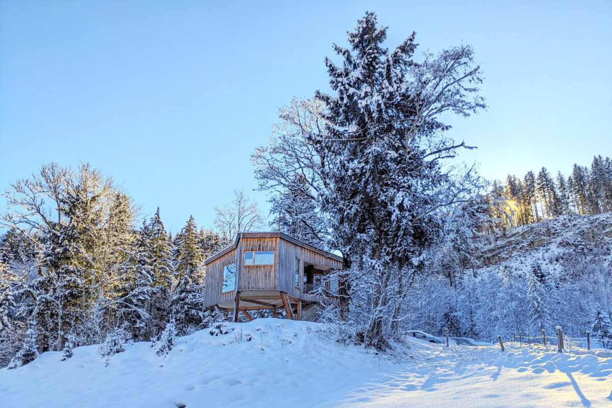 Baumhaus Goldegg - Thoma Holz100 