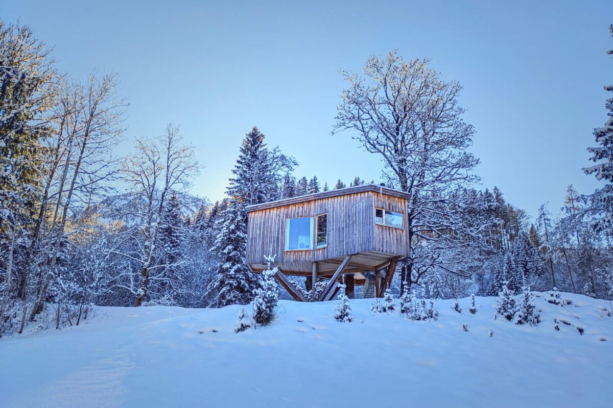 Baumhaus Goldegg - Thoma Holz100 