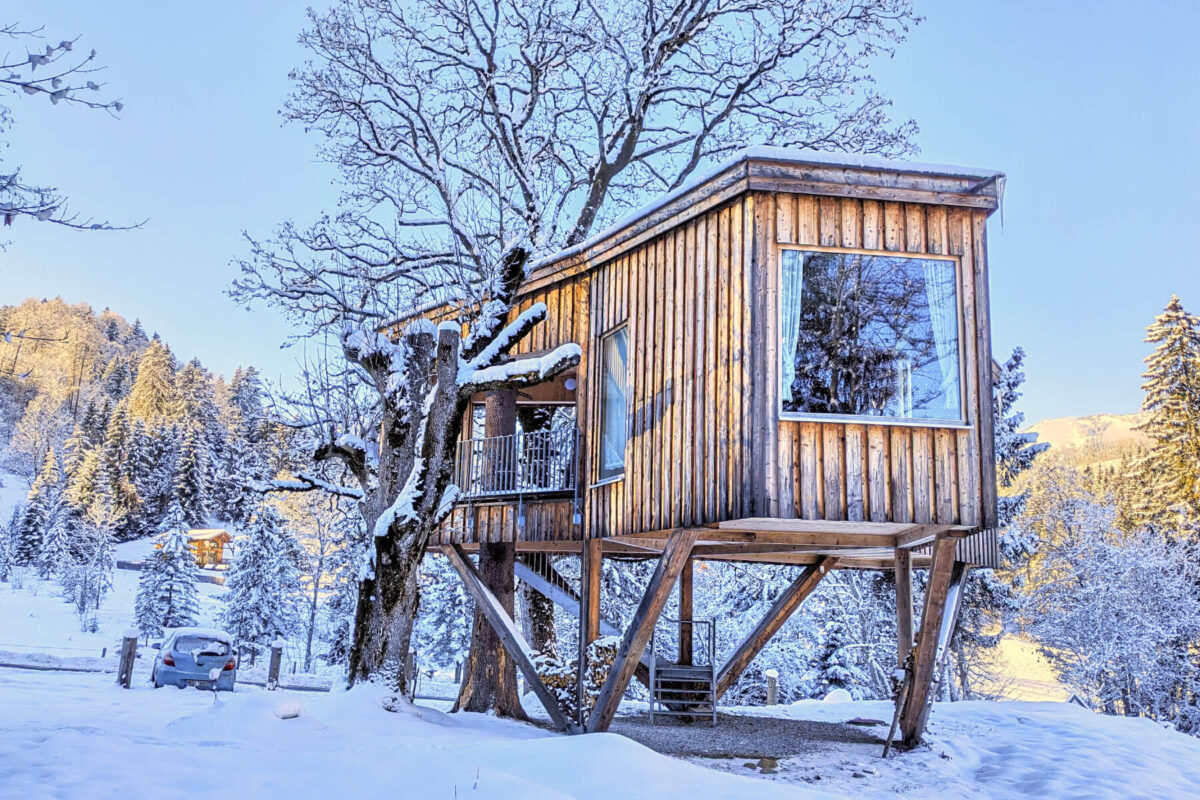 Baumhaus Goldegg - Thoma Holz100 