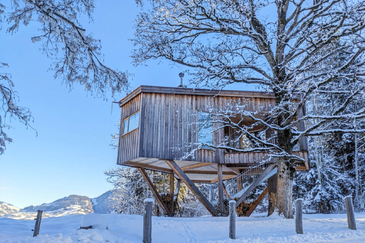 Baumhaus Goldegg - Thoma Holz100 
