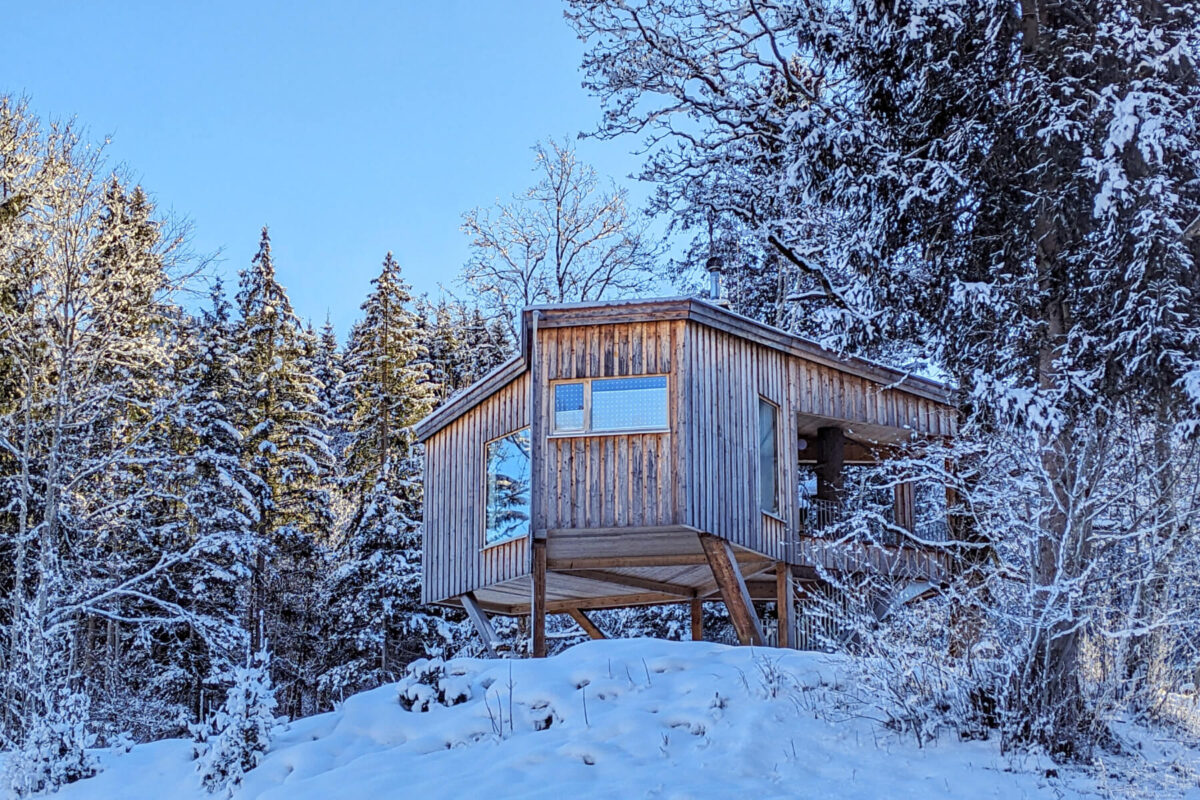 Baumhaus Goldegg - Thoma Holz100 